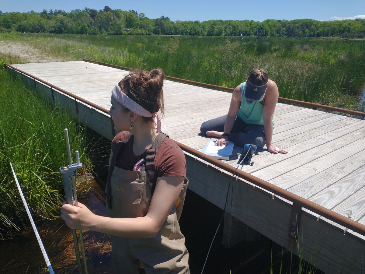 Foothills pond in June